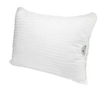 Lady of Lyme: Conair Sound Therapy Pillow