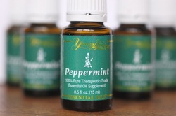 Lady of Lyme: Supplements I Love - Peppermint Essential Oil